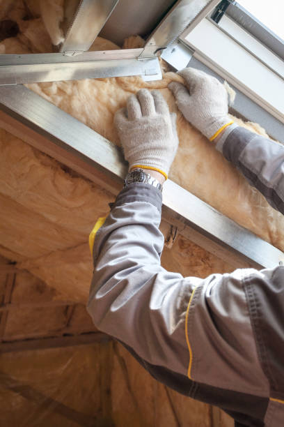 Best Commercial Insulation in Minonk, IL